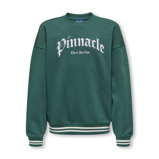 Only & Sons Connor Sweater (22036507-TREKKINGGRN) Kids