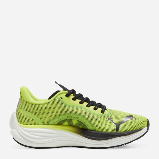 Puma Footwear (380081-01) Women