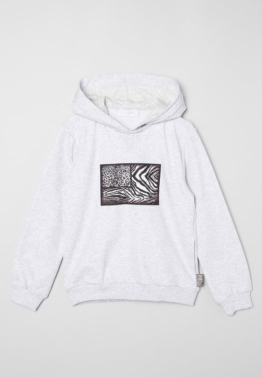 Roberto Cavalli Junior b hoodie sweatshirt flag Light Grey (ZZO1RD1BE-B00) Kids