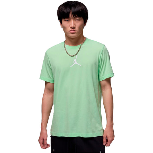 Jordan Jumpman Vapor Green (CW5190-376) Men