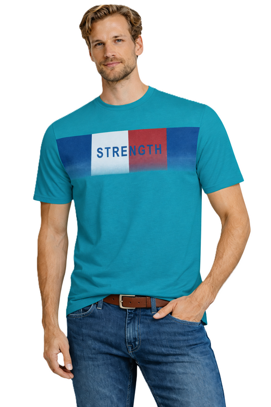 JUMPER T SHIRT T Shirt 3020 Turquoise (9140) Men
