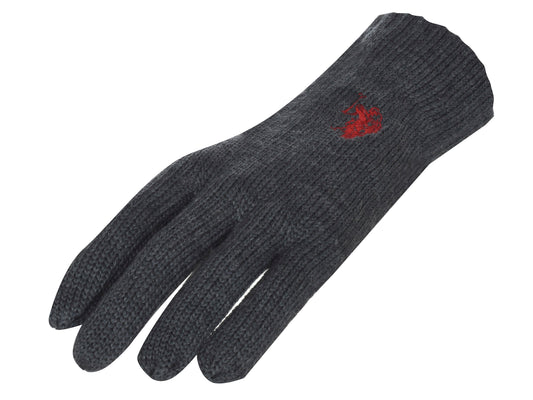 U.S. Polo Assn. Gloves NOAH 185 66949 51613 389 (4729) Men